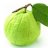 guava